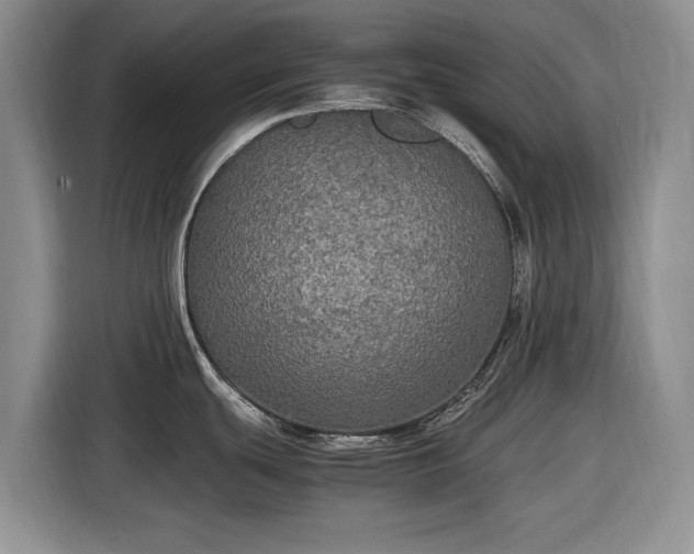 X0000116581439200912171515