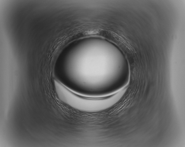 X0000116581441200912171514