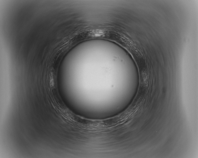 X0000116581442200912171514