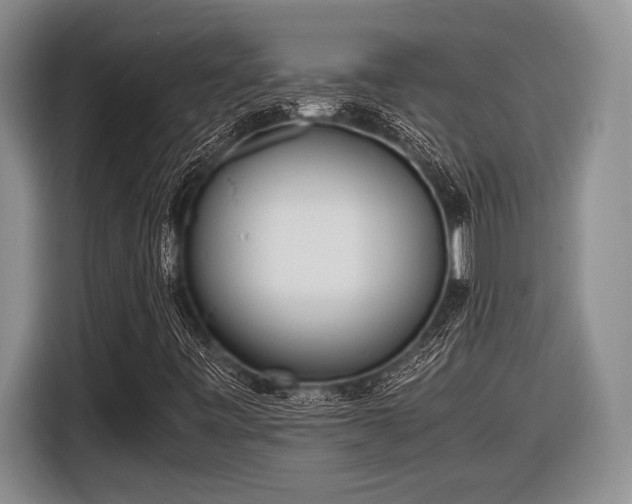 X0000116581443200912171514