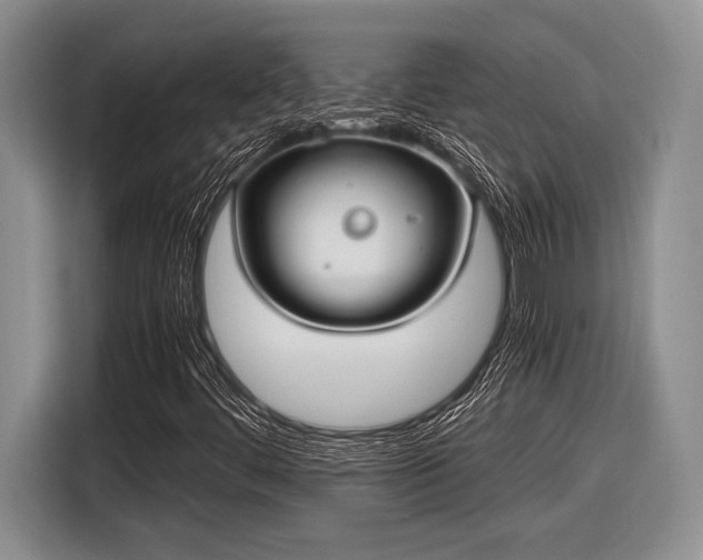 X0000116581444200912171514