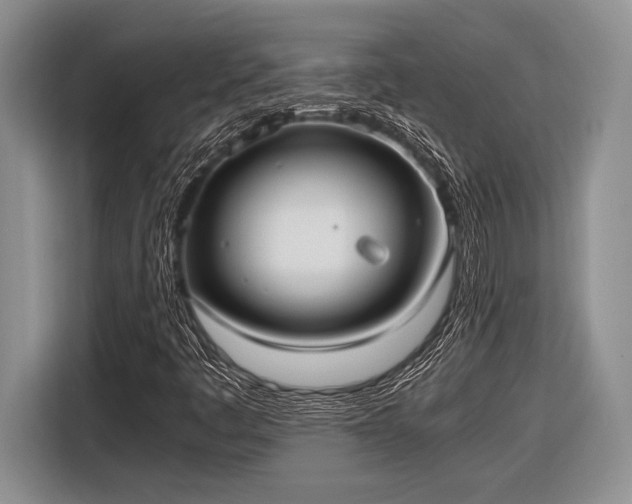 X0000116581445200912171514