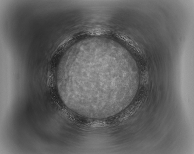 X0000116581446200912171514