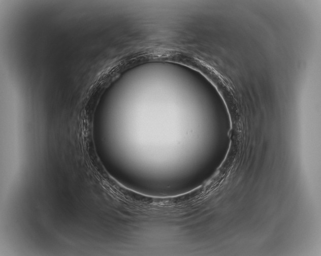 X0000116581447200912171514