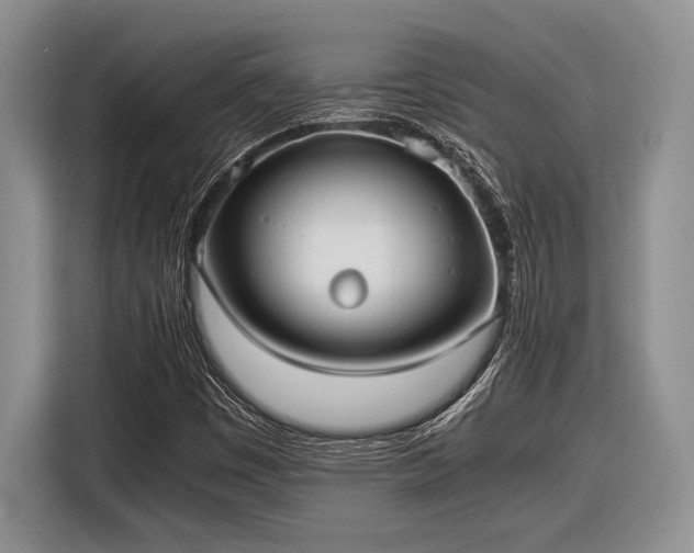 X0000116581449200912171514