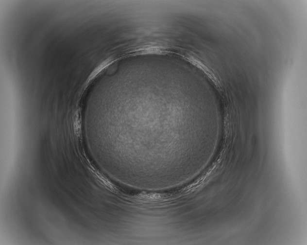 X0000116581450200912171514