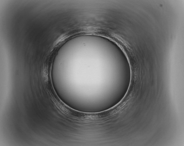 X0000116581451200912171514