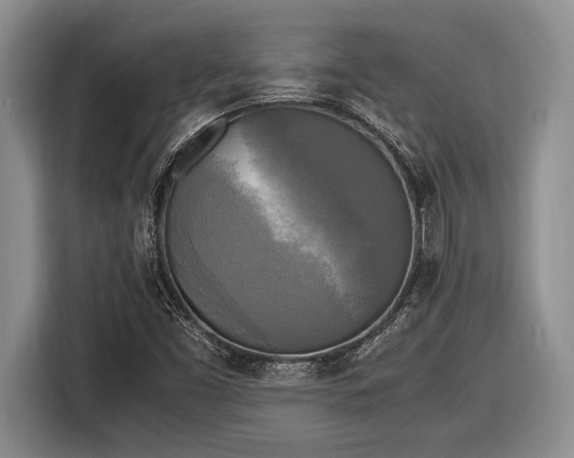 X0000116581453200912171514