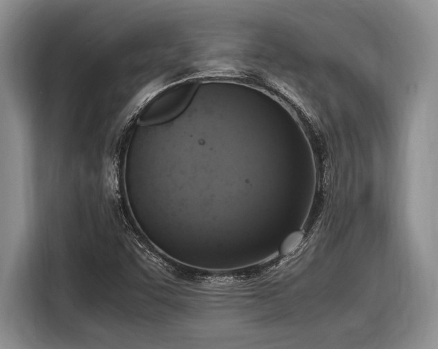 X0000116581455200912171514