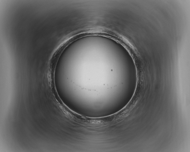 X0000116581456200912171514