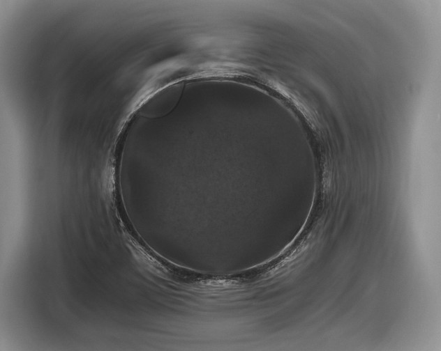 X0000116581459200912171514