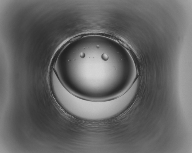 X0000116581460200912171514