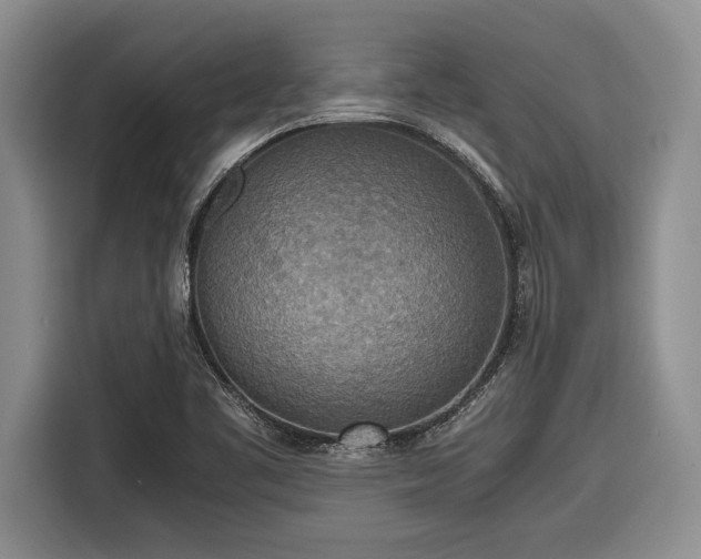 X0000116581461200912171514