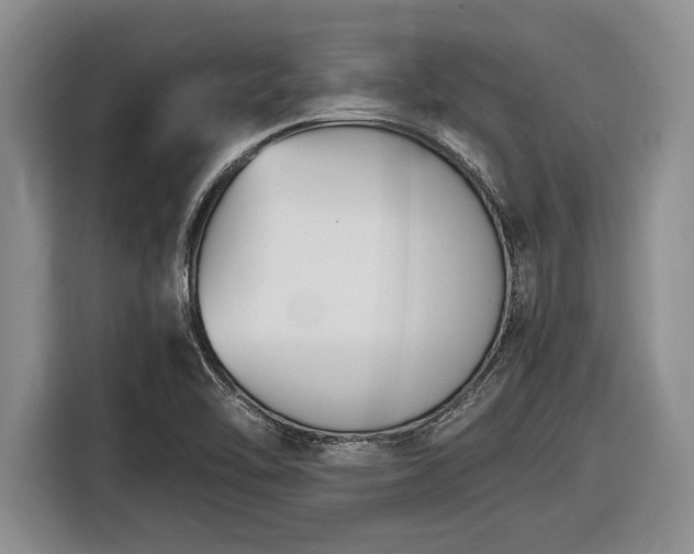 X0000116581462200912171514