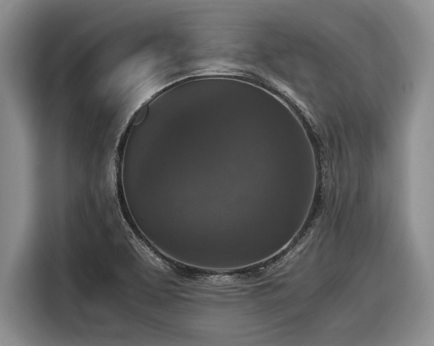 X0000116581463200912171514