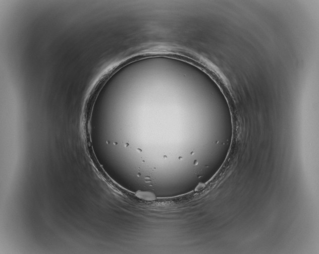 X0000116581464200912171514