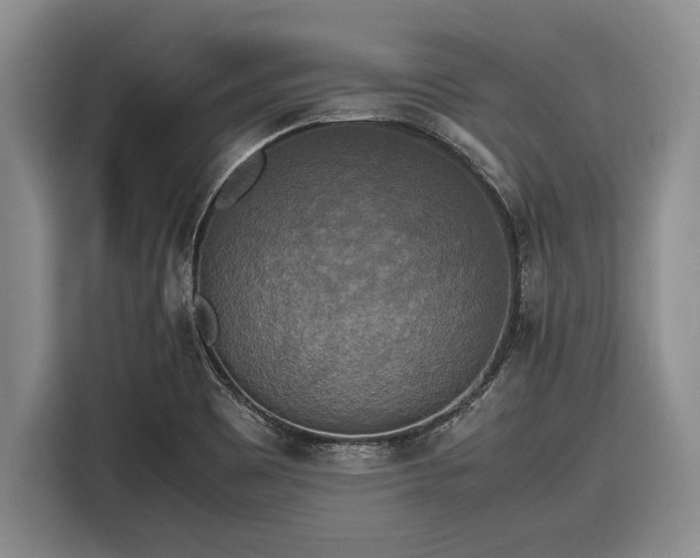 X0000116581465200912171514