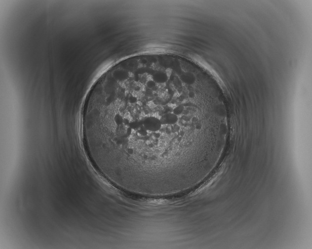 X0000116581467200912171514