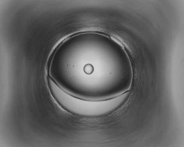 X0000116581468200912171514