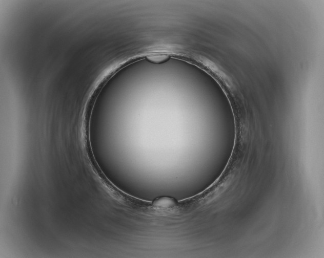 X0000116581469200912171514