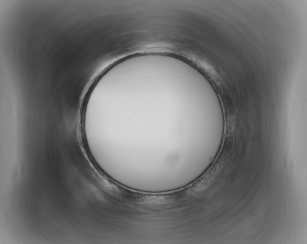 X0000116581470200912171514