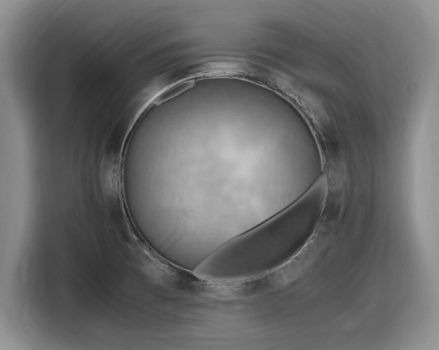 X0000116581473200912171514