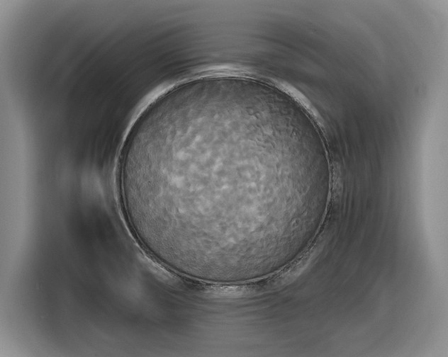 X0000116581474200912171514