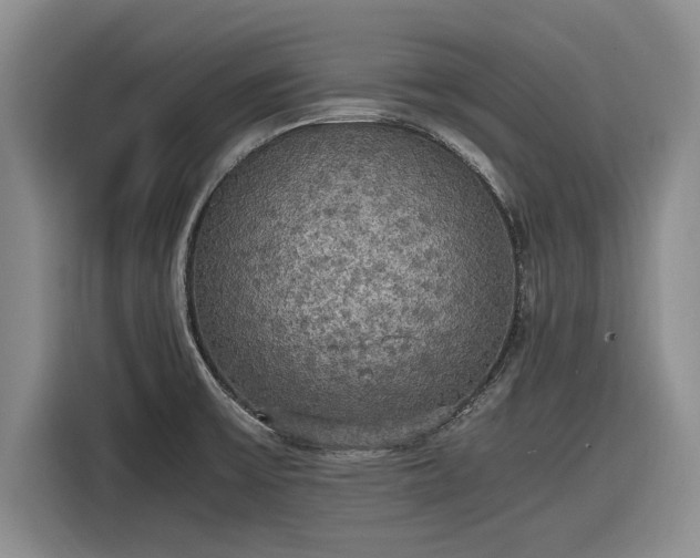 X0000116581475200912171514