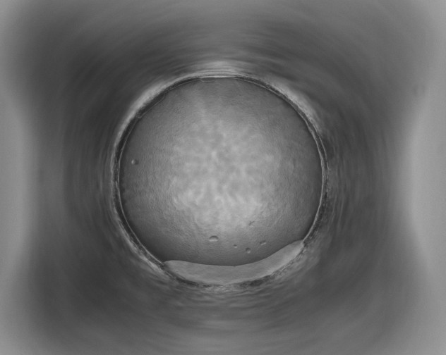 X0000116581477200912171514