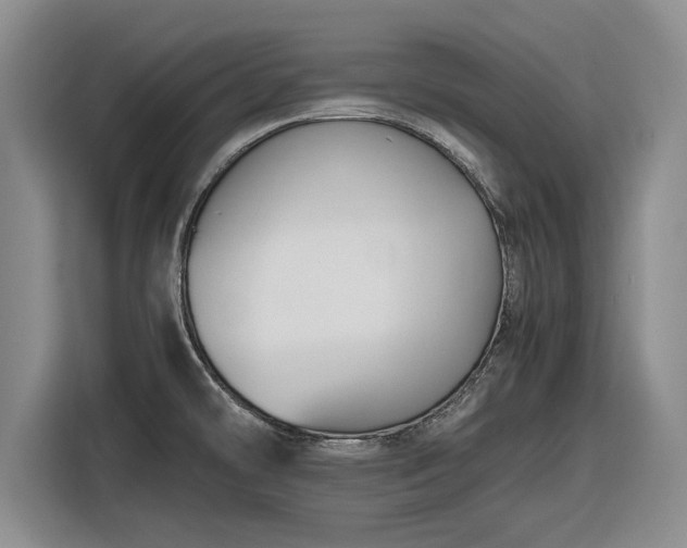 X0000116581478200912171514