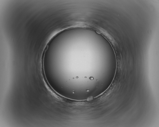 X0000116581479200912171514