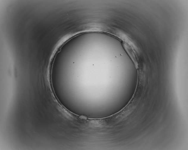 X0000116581480200912171514