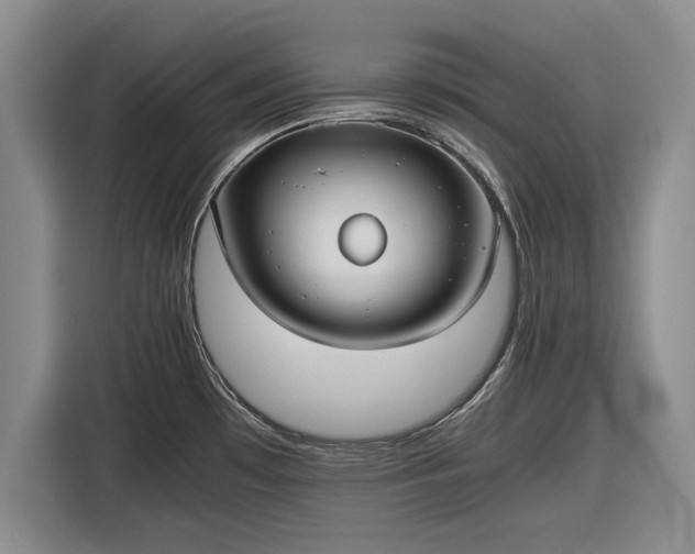 X0000116581481200912171514