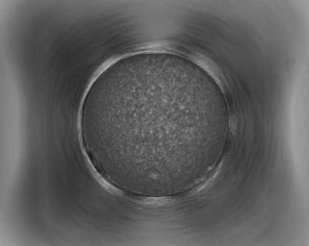 X0000116581482200912171514