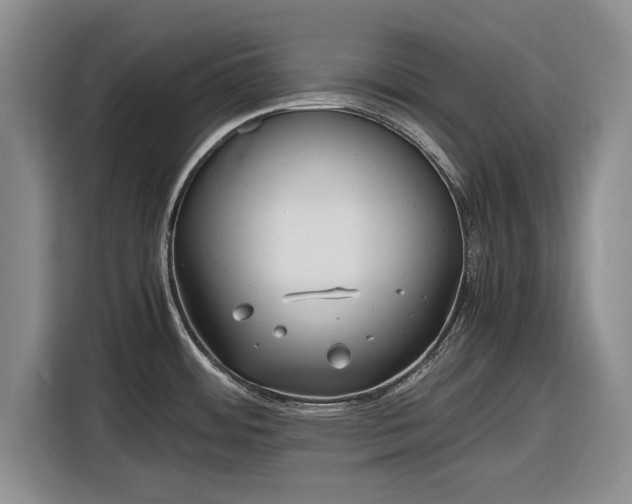 X0000116581484200912171514