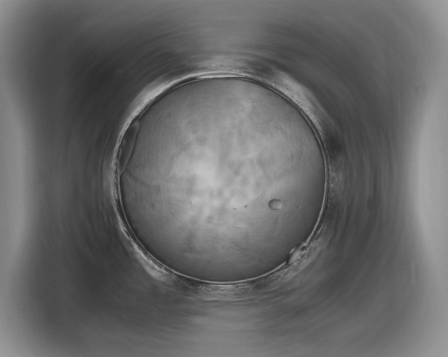 X0000116581485200912171514