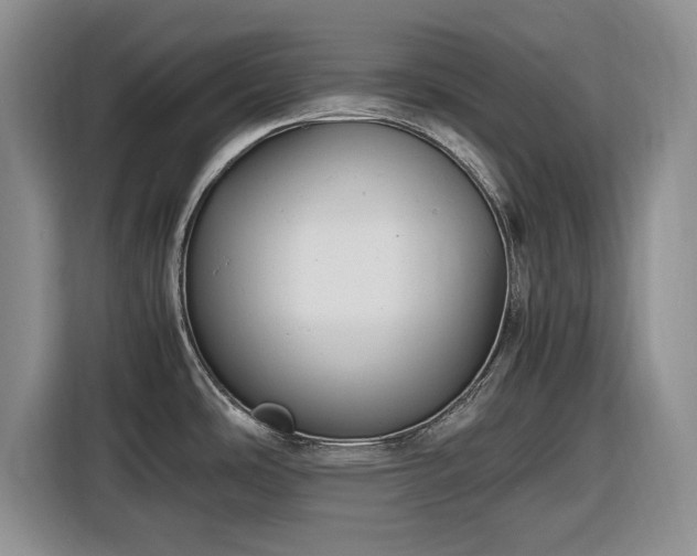 X0000116581486200912171514