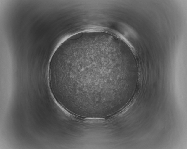 X0000116581487200912171514