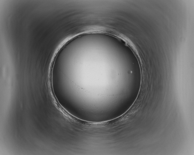 X0000116581488200912171514