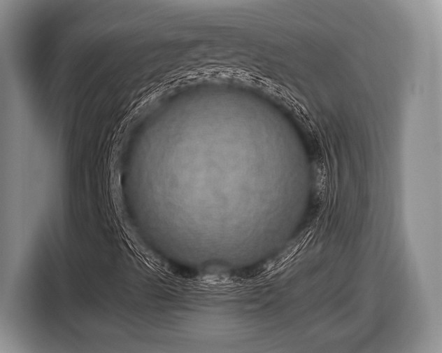 X0000116581489200912171513