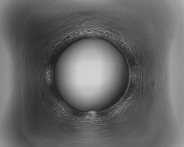 X0000116581490200912171513