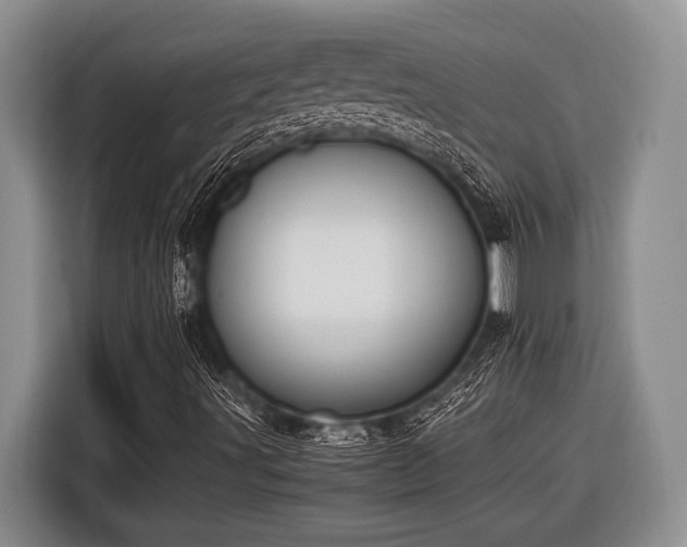 X0000116581491200912171513