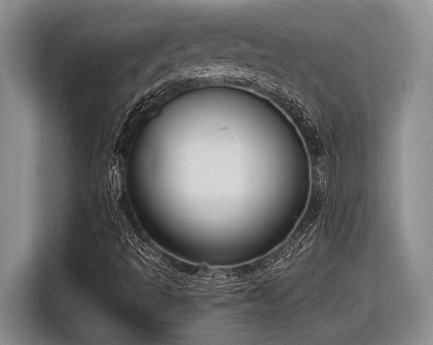 X0000116581493200912171513