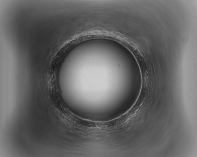 X0000116581494200912171513