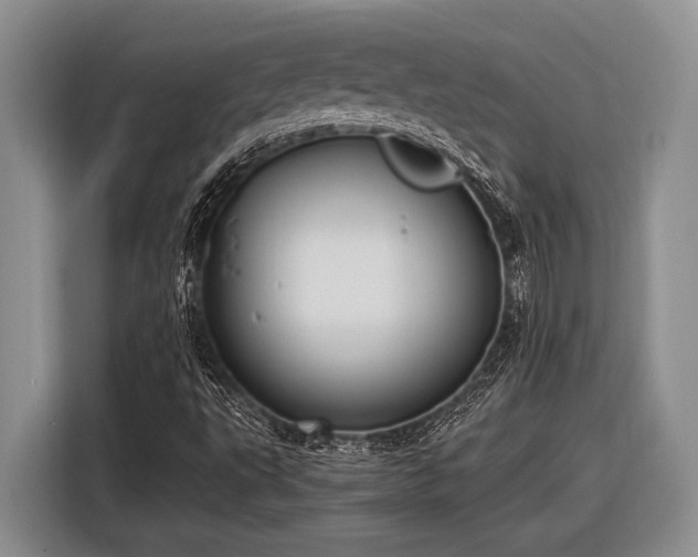 X0000116581495200912171513