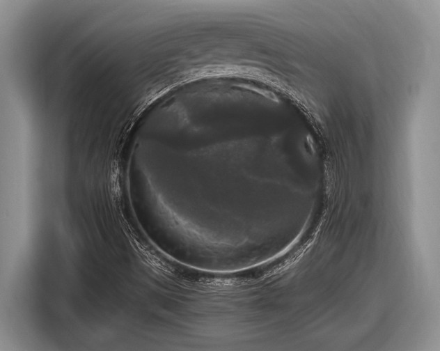 X0000116581497200912171513