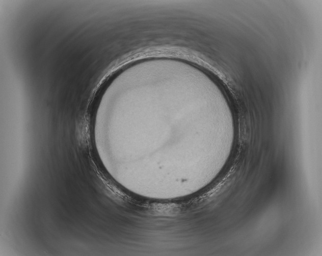 X0000116581498200912171513