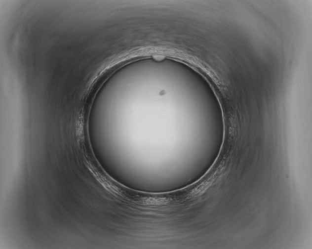 X0000116581499200912171513