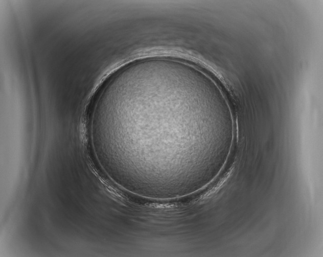 X0000116581501200912171513