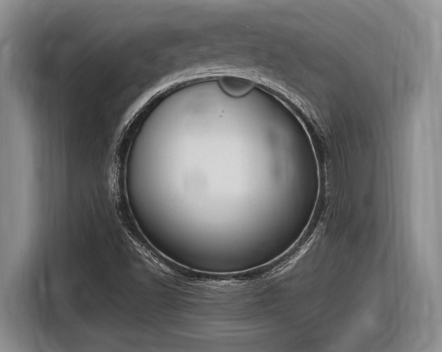 X0000116581502200912171513